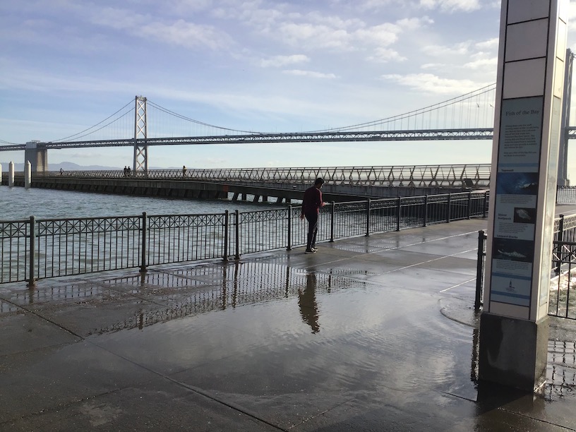 king tide at pier 14, man walking