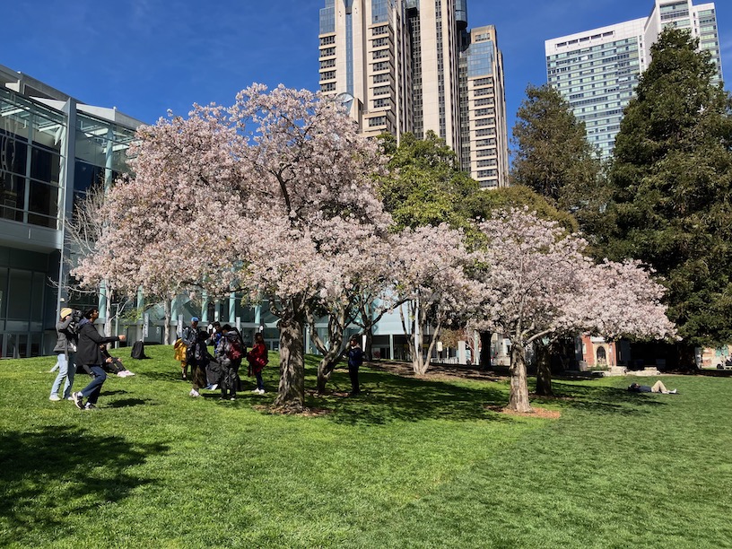 yerba buena gardens in early spring